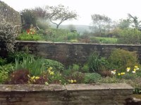 Stone walls enhance garden